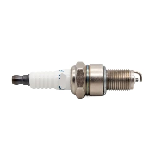 Bougie F6RTC lot de 10 pièces pour réviser la tondeuse en automne