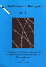 Paperback A Descriptive and Phylogenetic Analysis of Plumulaceous Feather Characters in Charadriiformes (OM51) Book