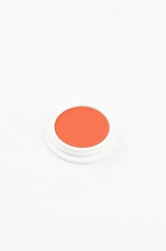 舞台屋 ペイントカラー No.5B コスプレ メイク 舞台 ミュージカル