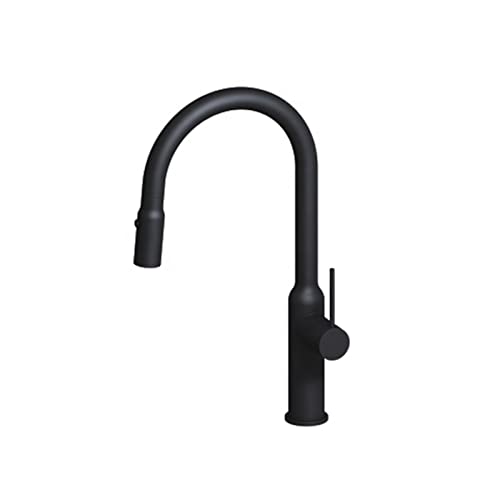 OWOHYG Grifo de cocina de un solo mango, grifos de cocina de arco alto con rociador extraíble, grifo de cocina moderno para montaje en encimera, grifo para fregadero de cocina Fi