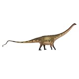 1/35 サイズ ディプロドクス 75cm級 PVC CE認証 塗装済 草食性恐竜 ディプロドクス科 恐竜 フィギュア リアル 模型 プラモデル おもちゃ (グリーン)