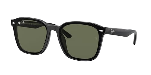 RayBan レイバン サングラス ORB4392D レイバン RB4392D (サングラス) 価格比較 - 価格.com