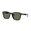 Black/Dark Green Polarized