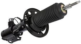 Motorcraft - Strut - Suspension (P) (AST12316)