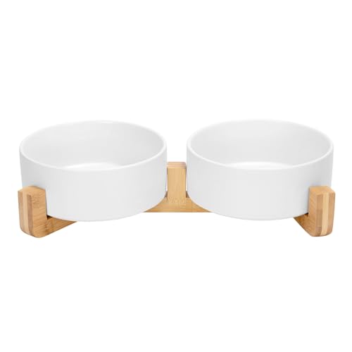 SPUNKYJUNKY Z~bNƔL̃{EZbg ؐX^ht _ 킢 d݂̂t[hEH[^[{EZbg ^^p(48IXA2×zCg)