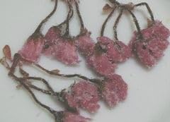 Sakae S Co., Ltd. Cherry Blossoms Salted, 1.1 oz (30 g)
