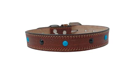 Forever99 Pet Shop Studded Leather Dog Collar Neck Belt for All Stage Breeds Medium 15 to 18 inch Neck for fit Art#-11 (B0841PJMTX) Amazon Price History, Amazon Price Tracker