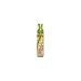 Vitale Olive Oil Foam Wrap Lotion 8 Oz
