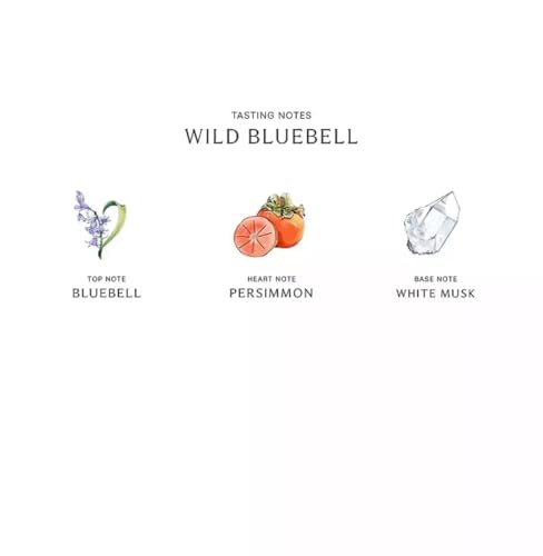 Jo Malone Wild Bluebell Body & Hand Wash (With Pump) 250ml/8.5oz