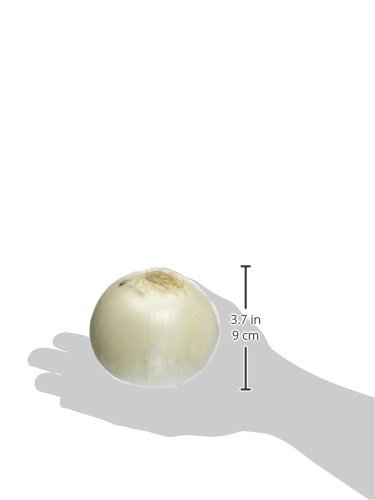 Organic White Onion