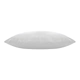 Travesseiro Saúde e Conforto Íons de prata - Anti bactericida - Fibra integralmente lavável - P/fronhas 50x70 cm - Fibrasca, Branco glide