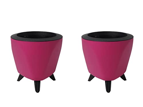Image of Garden Art (Pack of 5 Indoor Outdoor Self Watering Planter Home Living Room Office Tabletop Decorative Plastic Flower Pot 5.1 Inch (Pink, 5) PPLAP