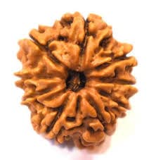 Retrend Design. ?? ? 9 Mukhi Rudraksha Original Certified Nine Face Nepal Bead Silver Pendant with Red Silk Thread Blessed by Durga Maa
