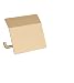 Produktbild hansgrohe Toilettenpapierhalter AddStoris, Papierrollenhalter mit Abdeckung, Brushed Bronze, 1 Rolle