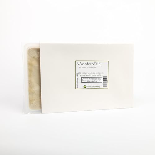 Beneficial Insectary NEMAforce Beneficial Nematodes for Grub Control (H. bacteriophora) 1 Million - Natural Biological Control, Lawn & Garden Sponge