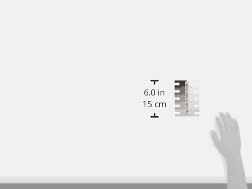 Miniatura 2 de Color Wheel The Company Escala gris y buscador de valores - 10x15 cm