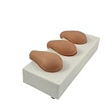 Educational Gynecological Simulation Set PVC Texture for Clinical Practice Abortion Training Model