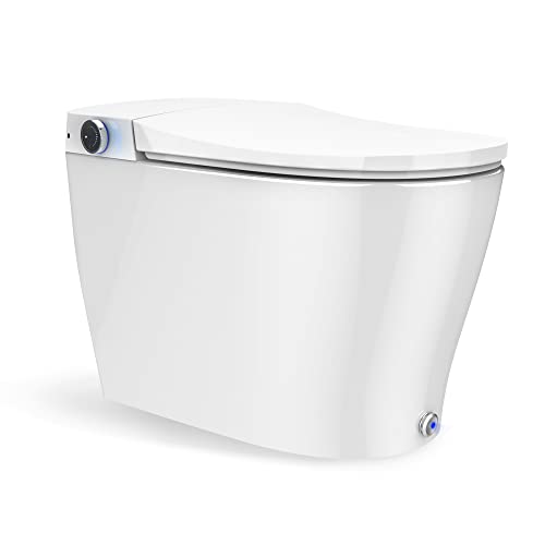 10 Best Toilet With Built In Bidet — Great Answer