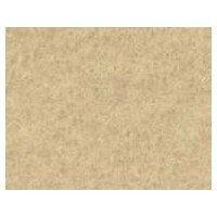 サンフェルト ウォッシャブルフェルト 18角 約18×18cm RN-33