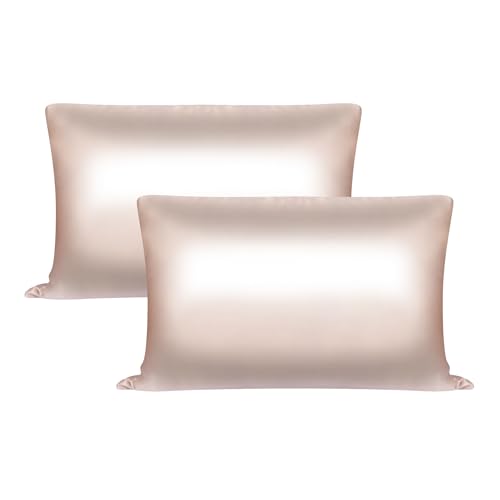 Jo[ VN100% 43x63cm Cy ێ  ^ t@Xi[t VNJo[ ܂Jo[ s[P[X sP[X VNs[P[X wAPA Mtg vZbg (xr[sN 2Zbg)