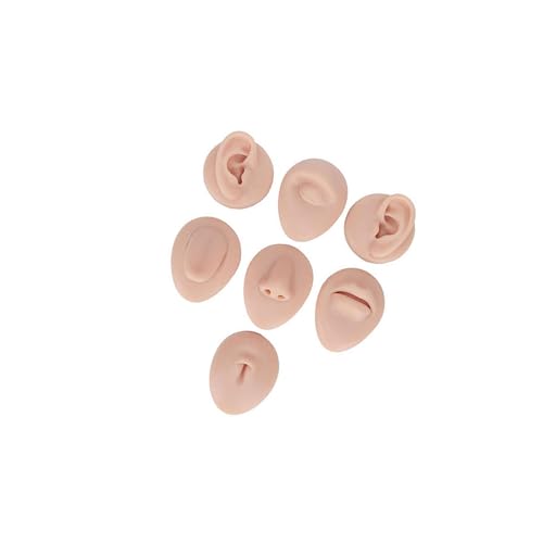 Modelo de silicona reutilizable para práctica de perforación facial 2
