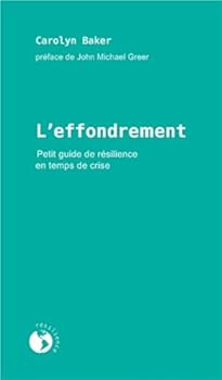 Paperback L'EFFONDREMENT - PETIT GUIDE DE RESILIENCE EN TEMPS DE CR [French] Book