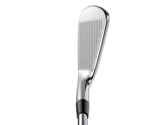 Cobra Golf King CB/MB Irons 4-PW, SILVER