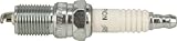 Replacement For Compatible With RS14YC Spark Plug (x1) fits Champion Several