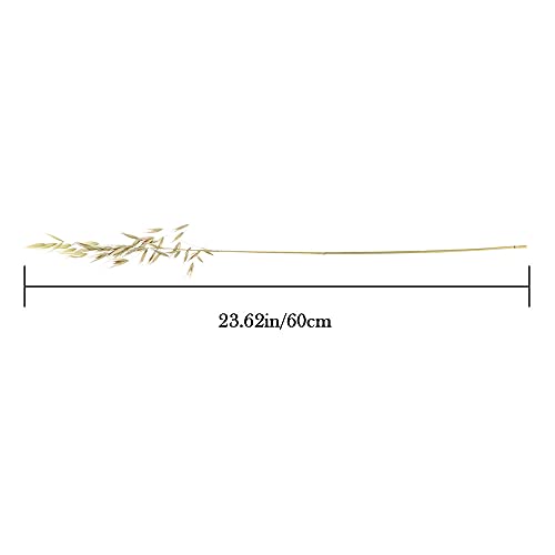 Pampas Grass Large 25pcs Natural Dried Wheat Ear miniatura 7