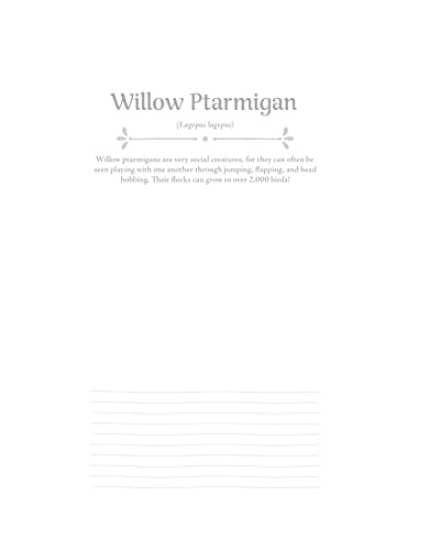 Birds at Home Coloring Book, Revised Edition: Discover Interesting Facts About Cardinals, Robins, Bluebirds, and 30 More of Your Favorite Birds from USA and Canada (Design Originals) Perforated Pages - Image 5