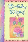 Birthday Wishes (From Me to You Series)