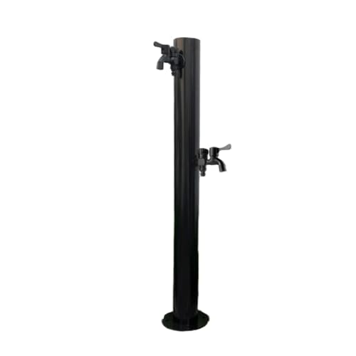 Sariny  XeX| ֌t h~ Op 