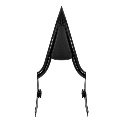 Appui-dos de passager moto amovible pour éliminer la fatigue en Sportster XL