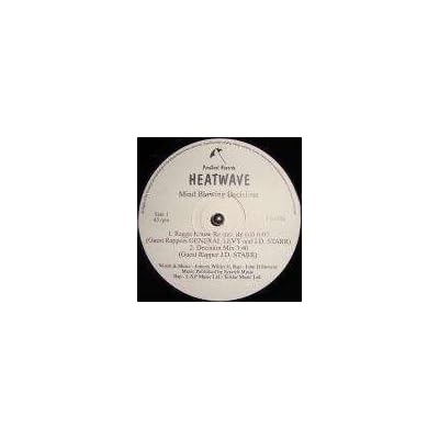 Heatwave & General Levy & Jd Starr - Mind Blowing Decisions (1993 Ragga House Re-mix Re-Edit) - ParaSoul Records