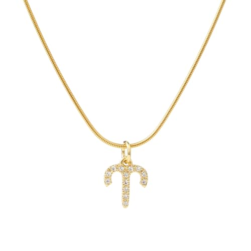 Image of SALTY Anti Tarnish Zodiac Sign Pendant Necklace for Women Men | Stylish Locket Neck Chain | Fashion Jewellery Accessories for Girls Boys | Minimal Jewelry | Ideal for Gifting | Gift for Diwali, Christmas, Marriage, Birthday