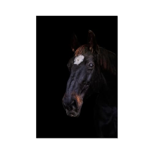 Tableaux d'art noirs chevaux impression toile premium FLUCK grand format