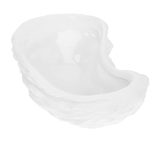 HEMOTON Plats de Sauce à Trempage Les Huîtres Façonnent des Bols de Sauce à Trempage en Porcelaine Blanche pour Sauce Soja Sauce Aux Sushis Et Vinaigrette Collation Barbecue 5. 11X3 Cover