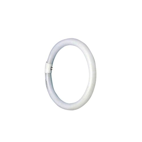 Glowster Tube fluorescent circulaire 22 W, haute efficacité énergétique, lumière vive, idéal pour l'éclairage des espaces commerciaux et domestiques.