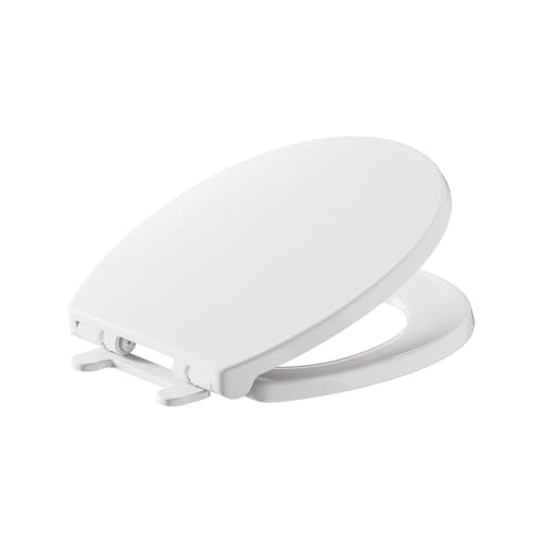 American Standard 5024B65G.020 Transitional Slow-Close & Easy Lift-Off Round Front Toilet Seat, White