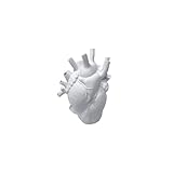 Gothic Decor Resin Flower Vase Resin Anatomical Heart Vase Human Heart Shaped Vase Statue Decor,for Desktop Decorations Craft Home Decor Creative Gifts,White