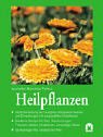 Heilpflanzen. 3811817477 Book Cover