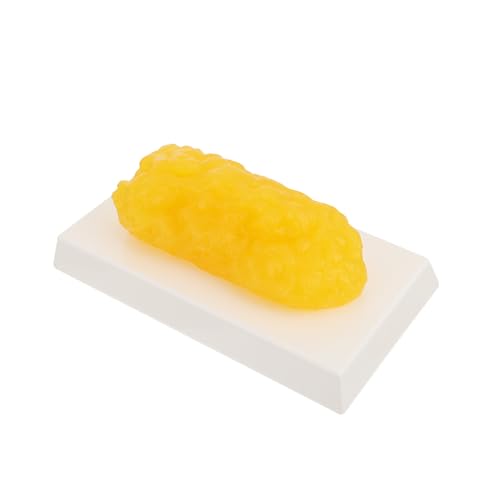 Modèle de graisse jaune pour salle d'entraînement et suivi fitness
