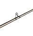 Fenwick HMG Casting Fishing Rod