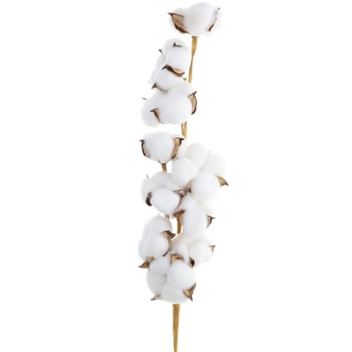 Hampton Art HMTFN0002 Cotton Stem, 26 1/8", Cotton Stems Decor Branches, Cotton Decor, Cotton Stems, Cotton Flowers cover