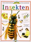 Insekten Insekten