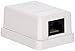 Produktbild DeLock 86248 Netzwerk Anschlussdose Cat.6 Kompakt UTP, Weiß