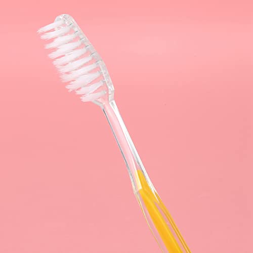 Cepillos de dientes individuales para adultos y niños desechables pack 300 3