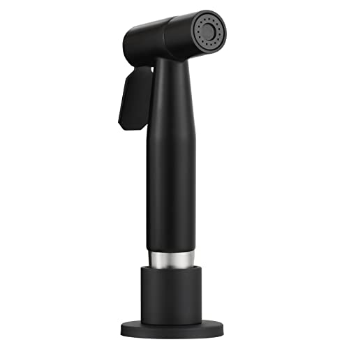 CIENCIA Kitchen Faucet Sprayer Set, Pull Out Spray Head with Side Sprayer Hose and Holder, Stainless Steel, Black, WS030CF