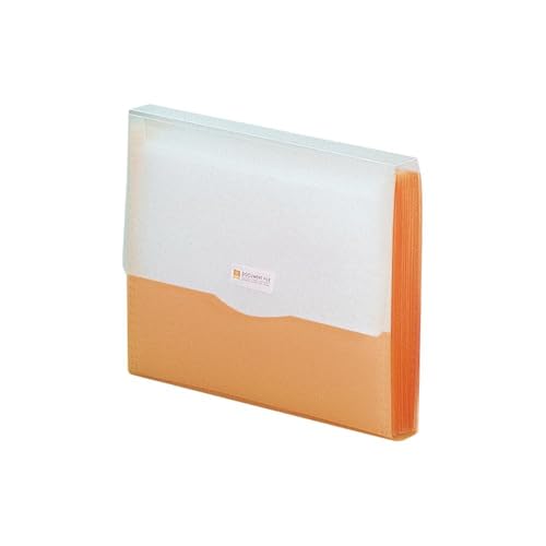 リヒトラブ リクエスト ドキュメントファイル A4 オレンジ 10冊 G5610-4_10