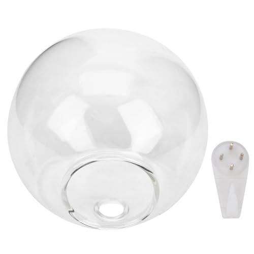 MOTHNUR Jarrón Colgante de Vidrio Transparente con Soporte para Plantas Hidropónicas y Decoración Hogar para Sala Oficina